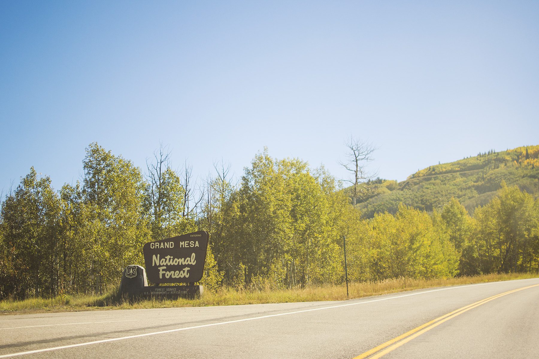 Grand Mesa Autumn | amanda.matilda.photography Grand Junction Photographer