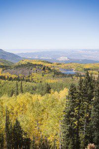 Grand Mesa Autumn | amanda.matilda.photography Grand Junction Photographer