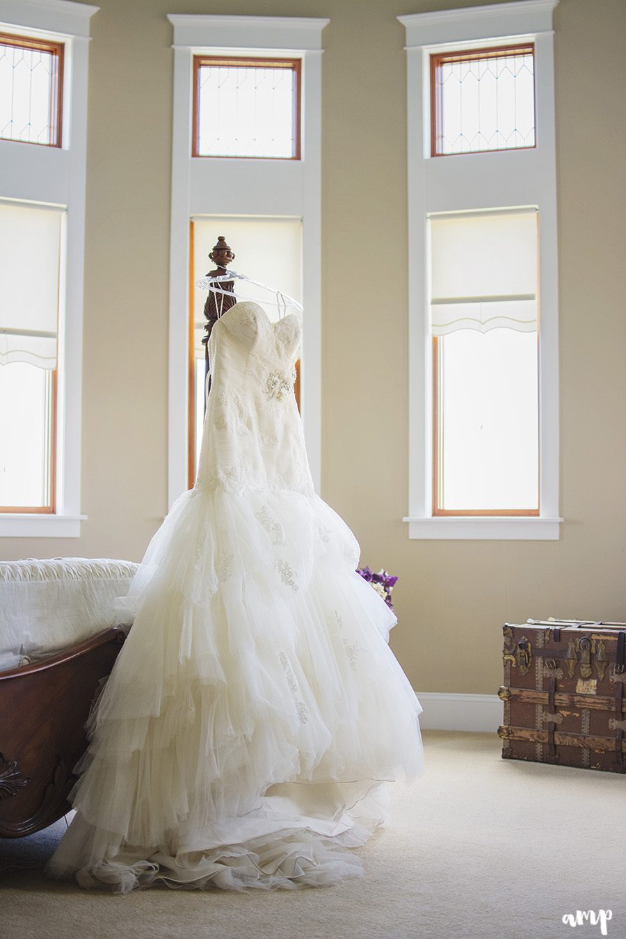 wedding dress | Palisade wedding photographer
