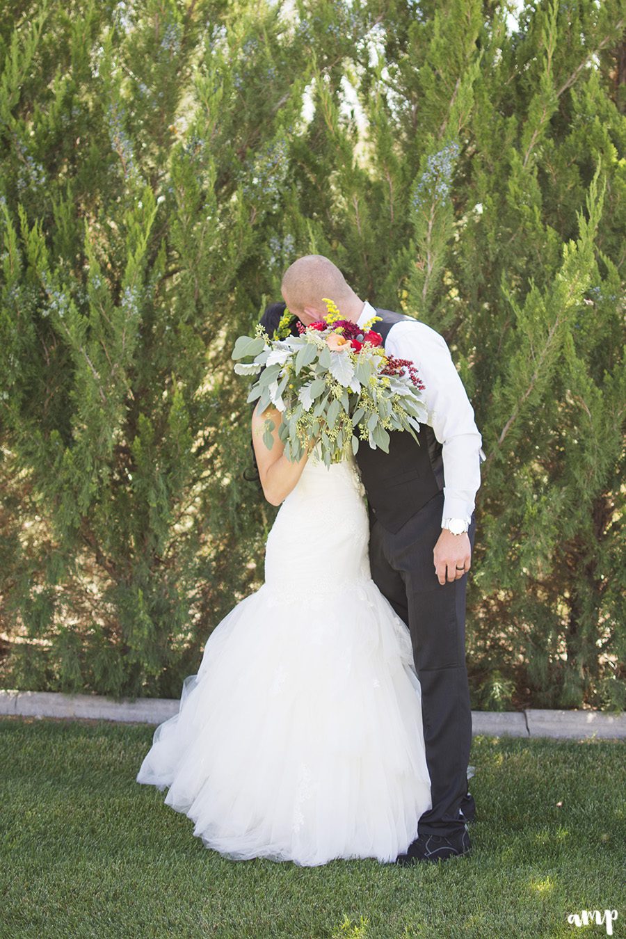 bride & groom | Palisade wedding photographer