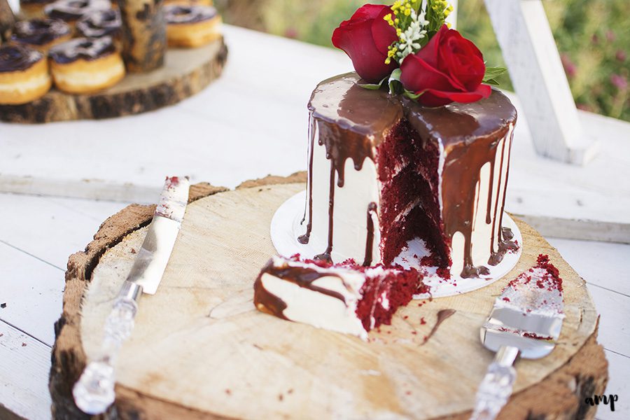 cake cutting | Palisade wedding photographer