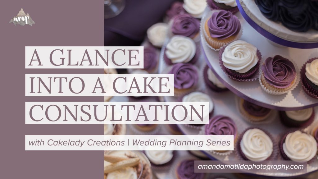 A GLANCE INTO A CAKE CONSULTATION with Cakelady Creations in Grand Junction