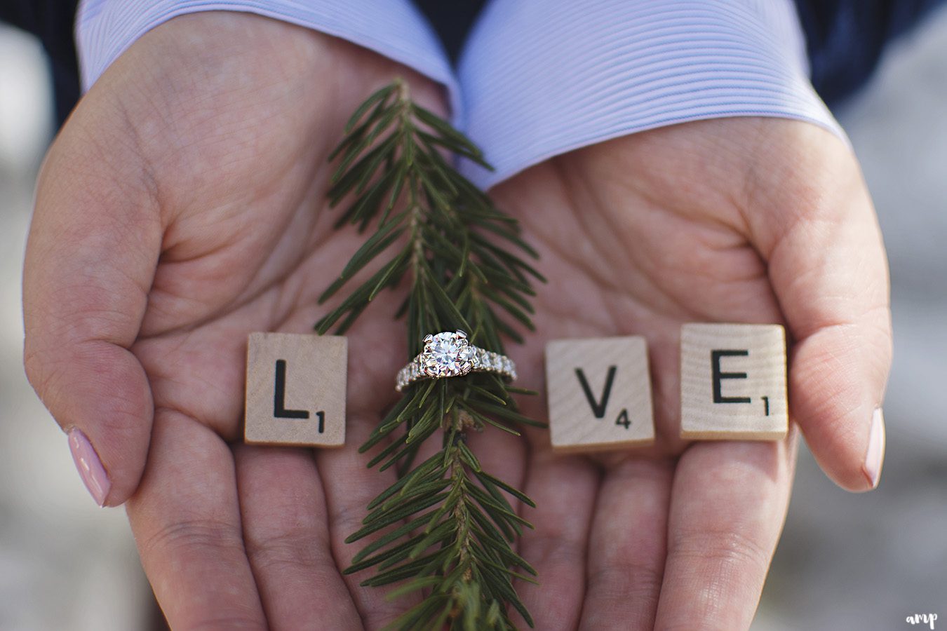 Engagement ring with pine branch and scrabble pieces spelling love