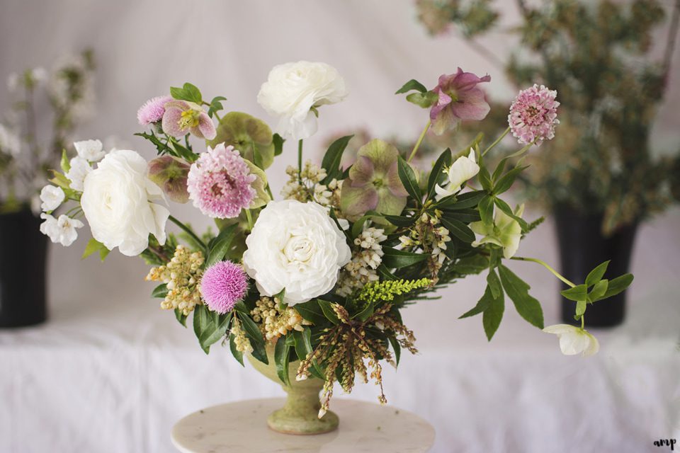 Springtime Florals with 3 Leaf Floral - Amanda Matilda Photography