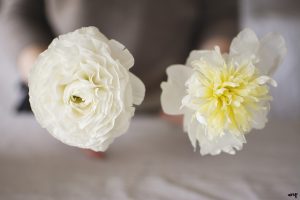 Ranunculus vs. Peonies