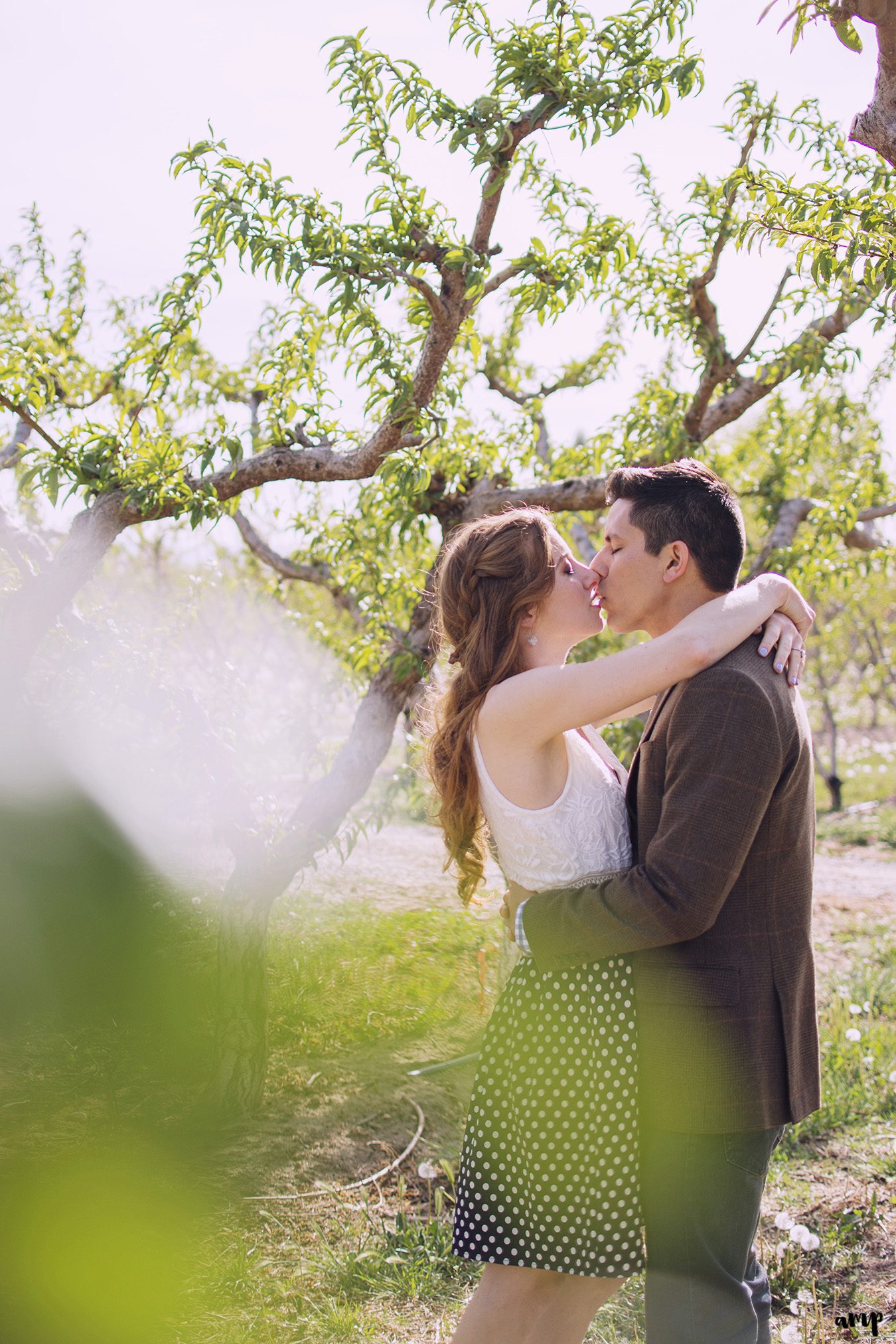 spring engagement session at Colterris Wines