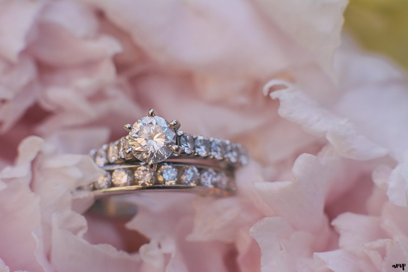 Wedding rings in a peony