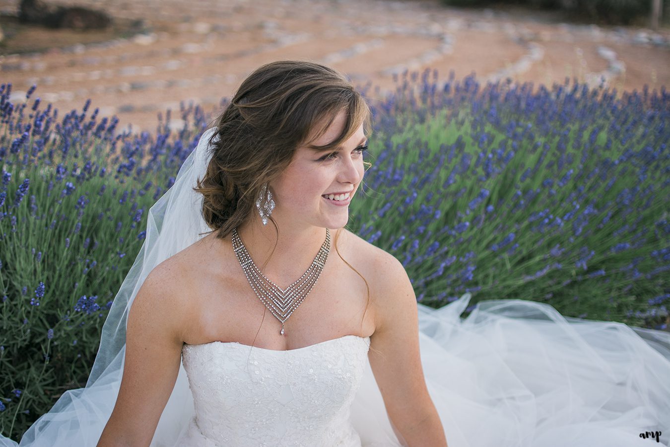 Bride sitting in field of lavender