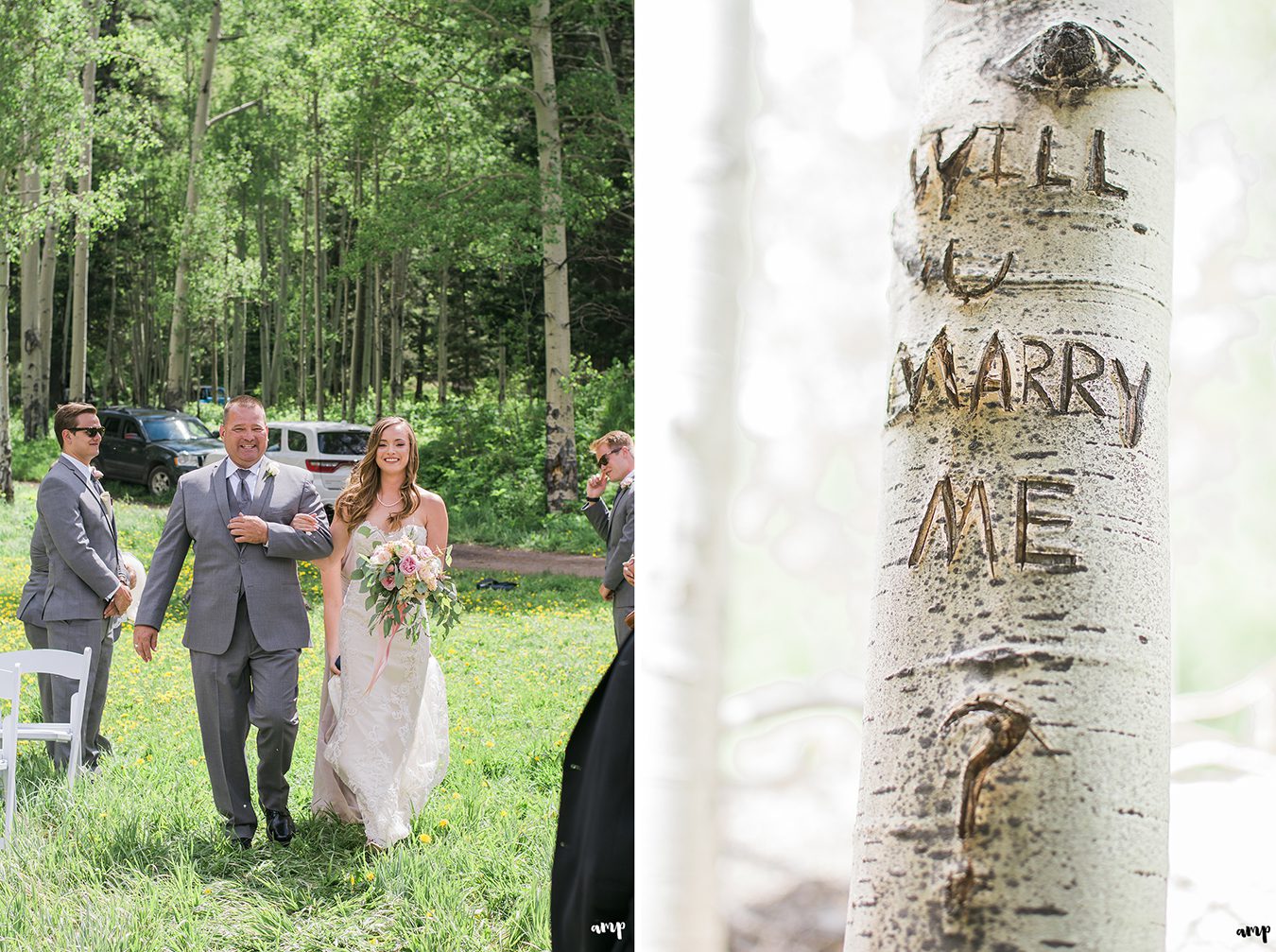 Will You Marry Me carved into an aspen tree