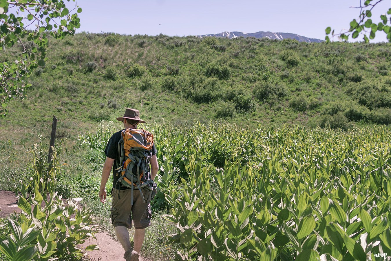 Hiking the Upper Upper Loop trail in Crested Butte