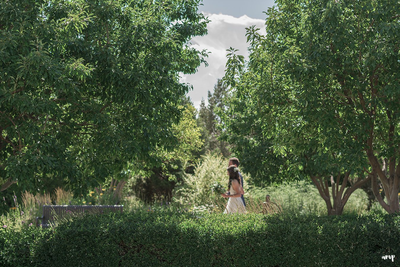 Bride walking through the Montrose Botanic Garden to the wedding