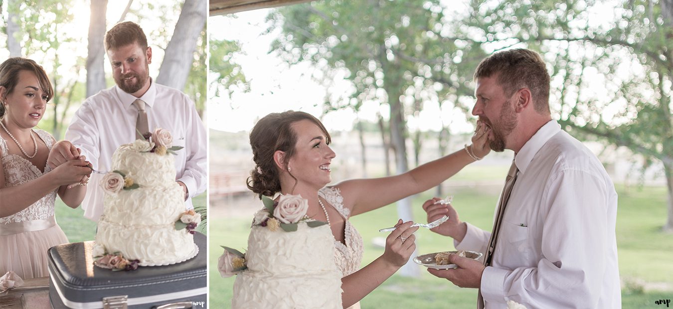 Bride and Groom cut the cake