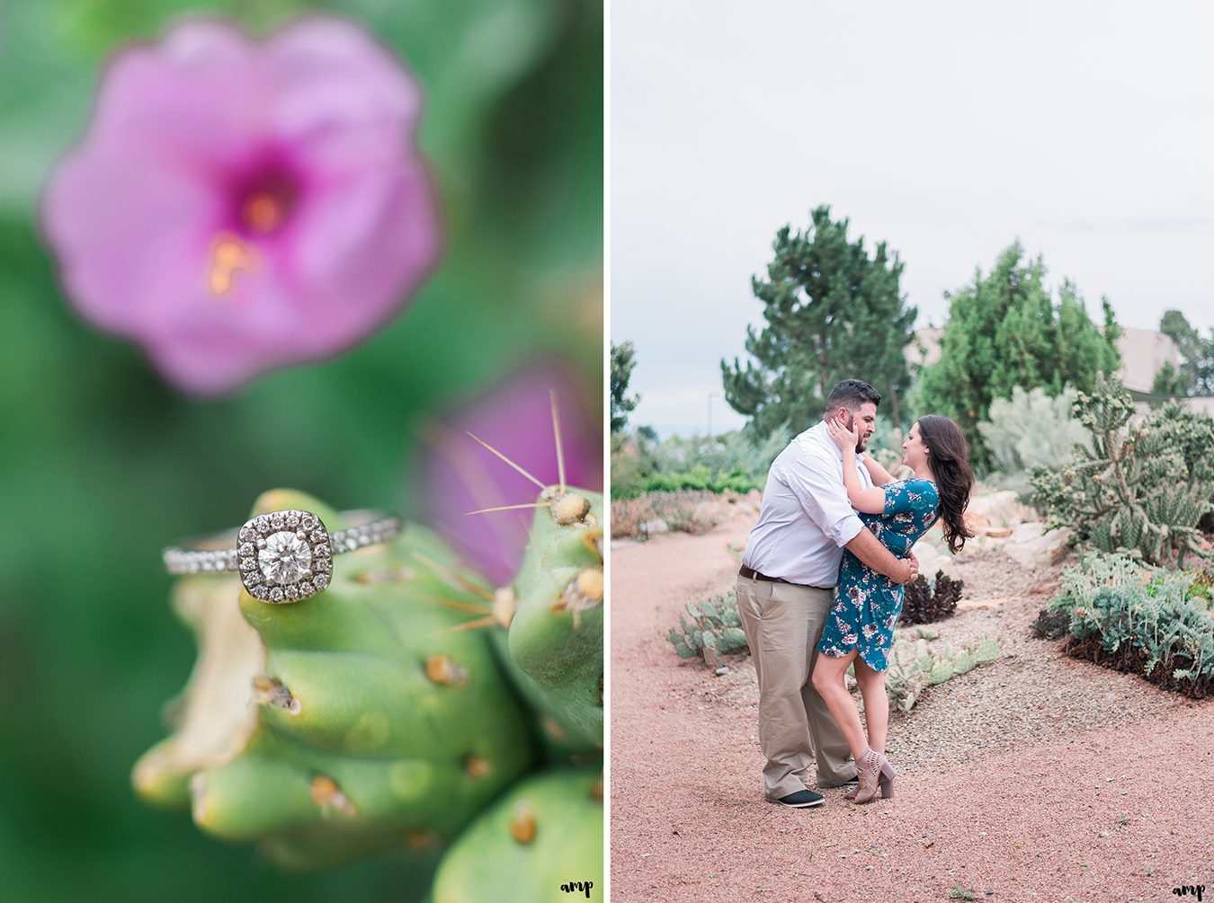 Engagement ring photo on a cactus in the Montrose Botanic Garden