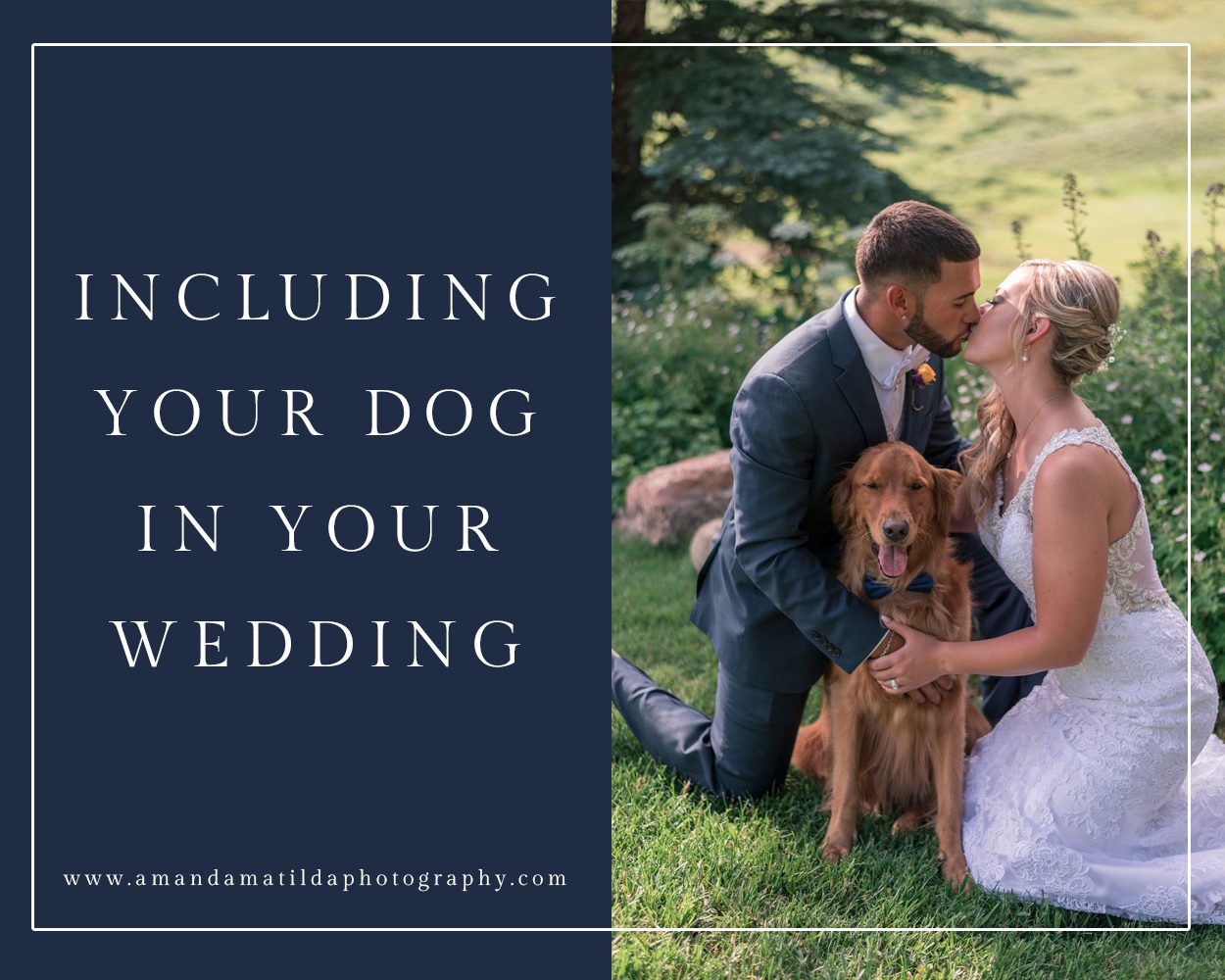 Including Your Dog in Your Wedding | amanda.matilda.photography