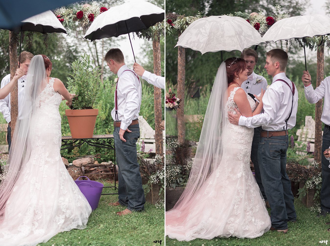 Bride and groom do a tree planting ceremony