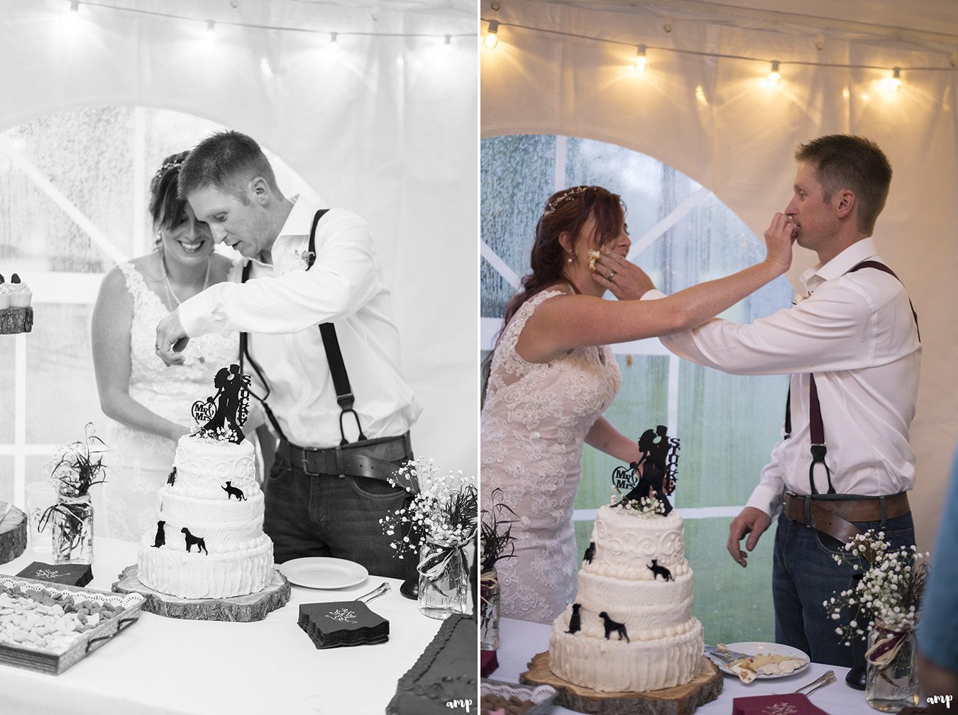 Bride and groom cut the cake