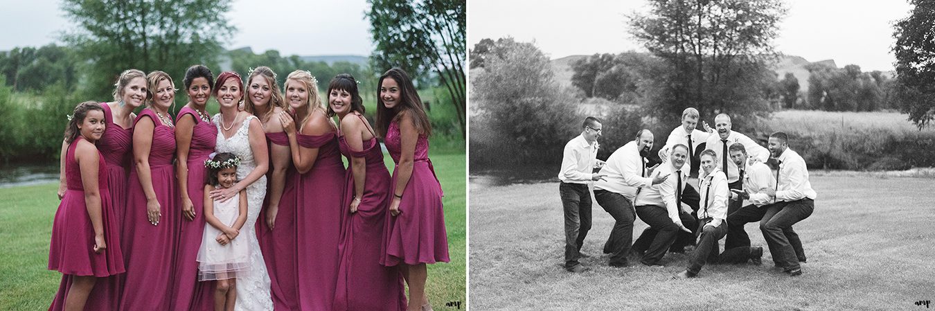 Bridal Party at the Gunnison wedding along Ohio Creek