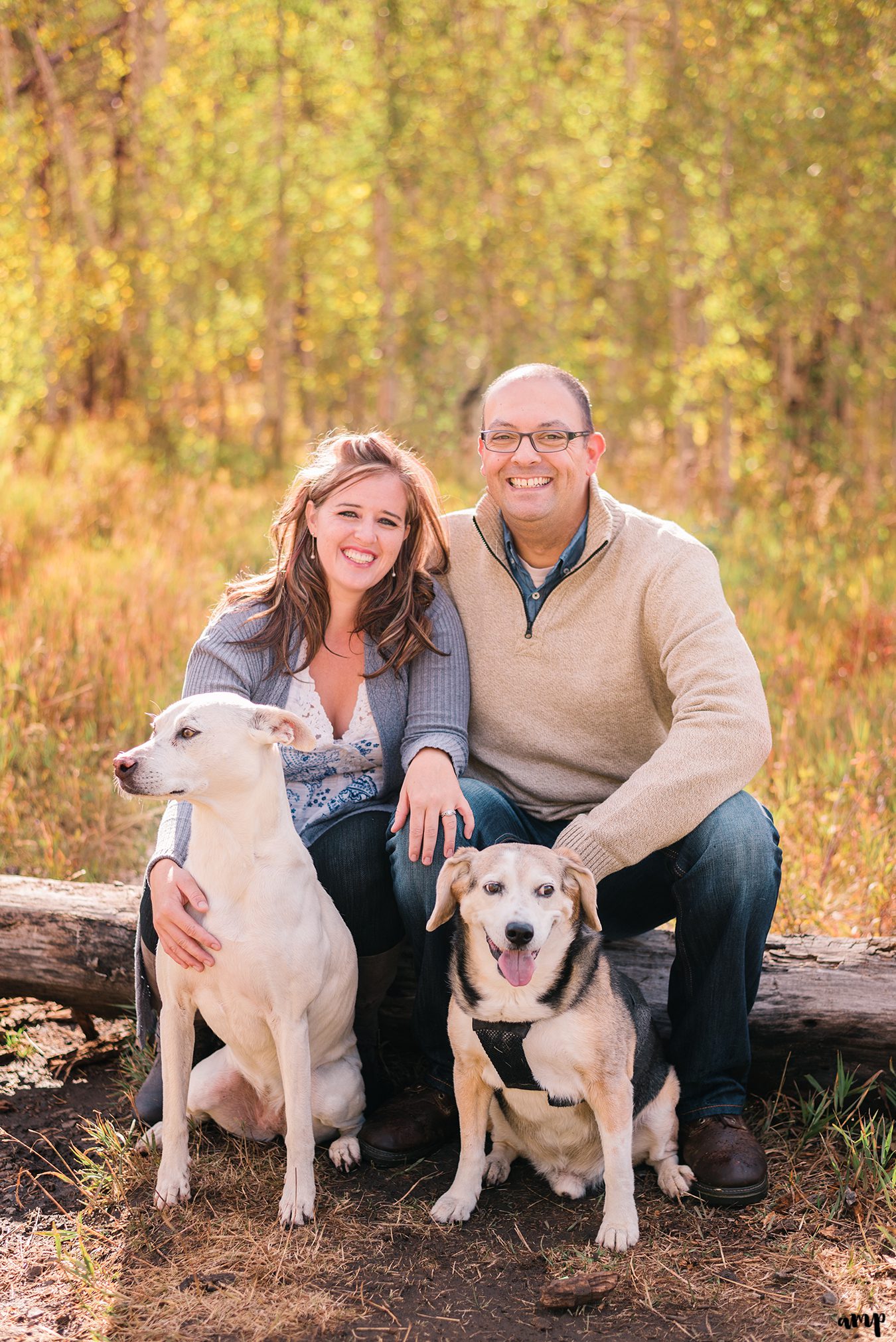 Fall couples photos with their dogs