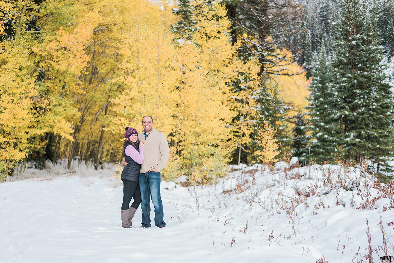 Couple posed by yellow fall aspens and snow covered pines