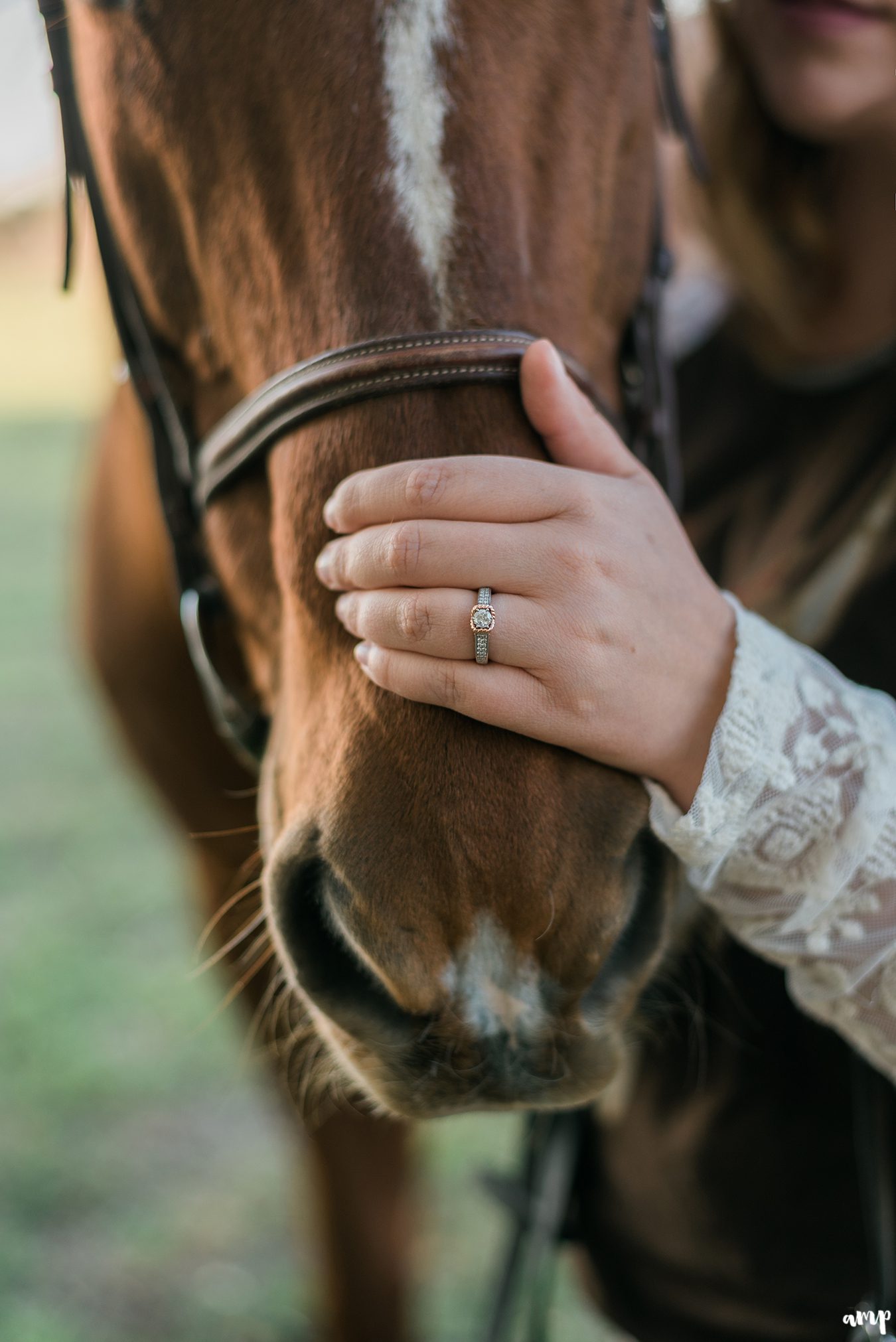 Engagement ring on a horse nose