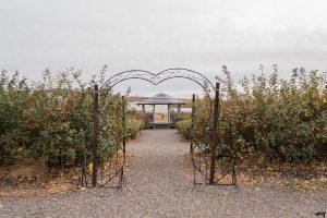 Varaison Vineyards | Western Slope Wedding Venues | amanda.matilda.photography