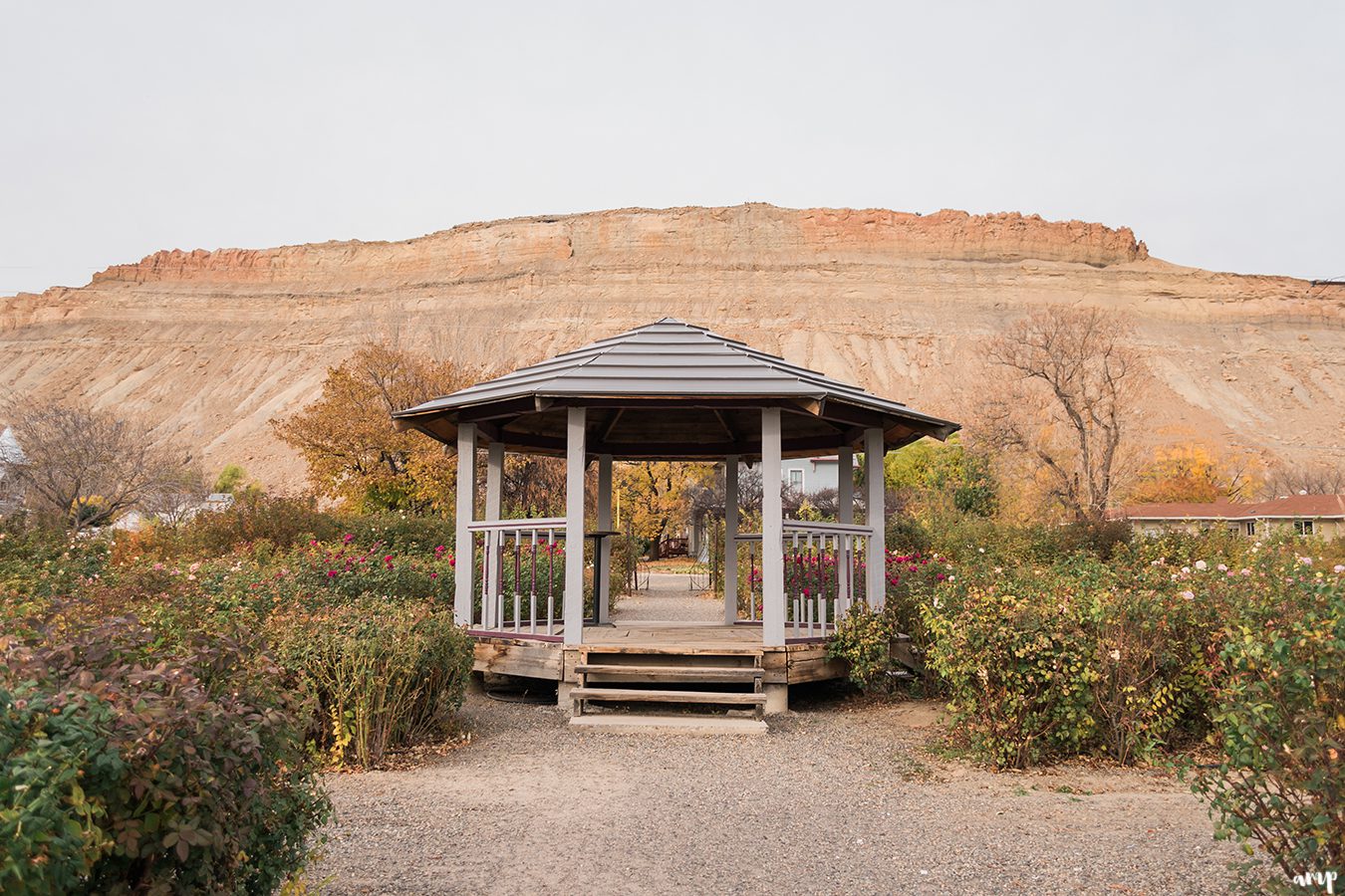 Varaison Vineyards | Palisade Wedding Venues | amanda.matilda.photography