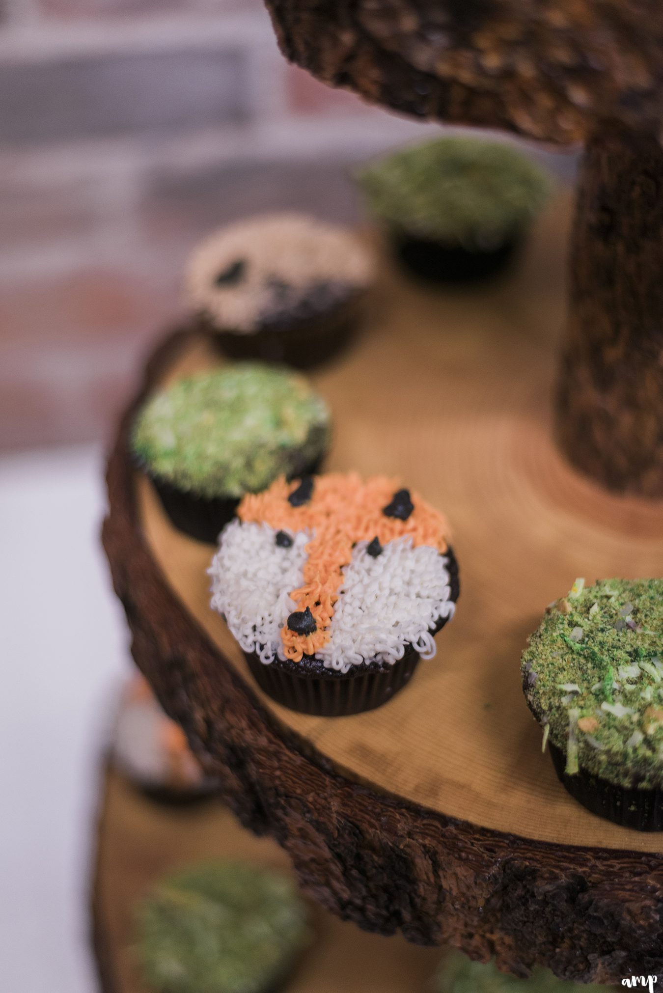 Woodland creatures cupcakes