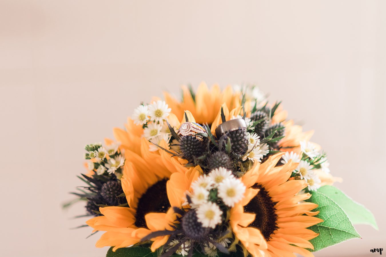 Courtnee's bouquet with sunflowers and blue thistle