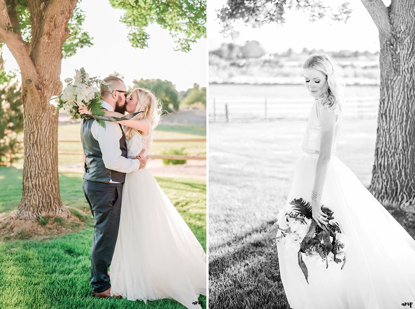 Beth and Dustin kissing under the tree | Grand Junction Backyard Wedding | amanda.matilda.photography