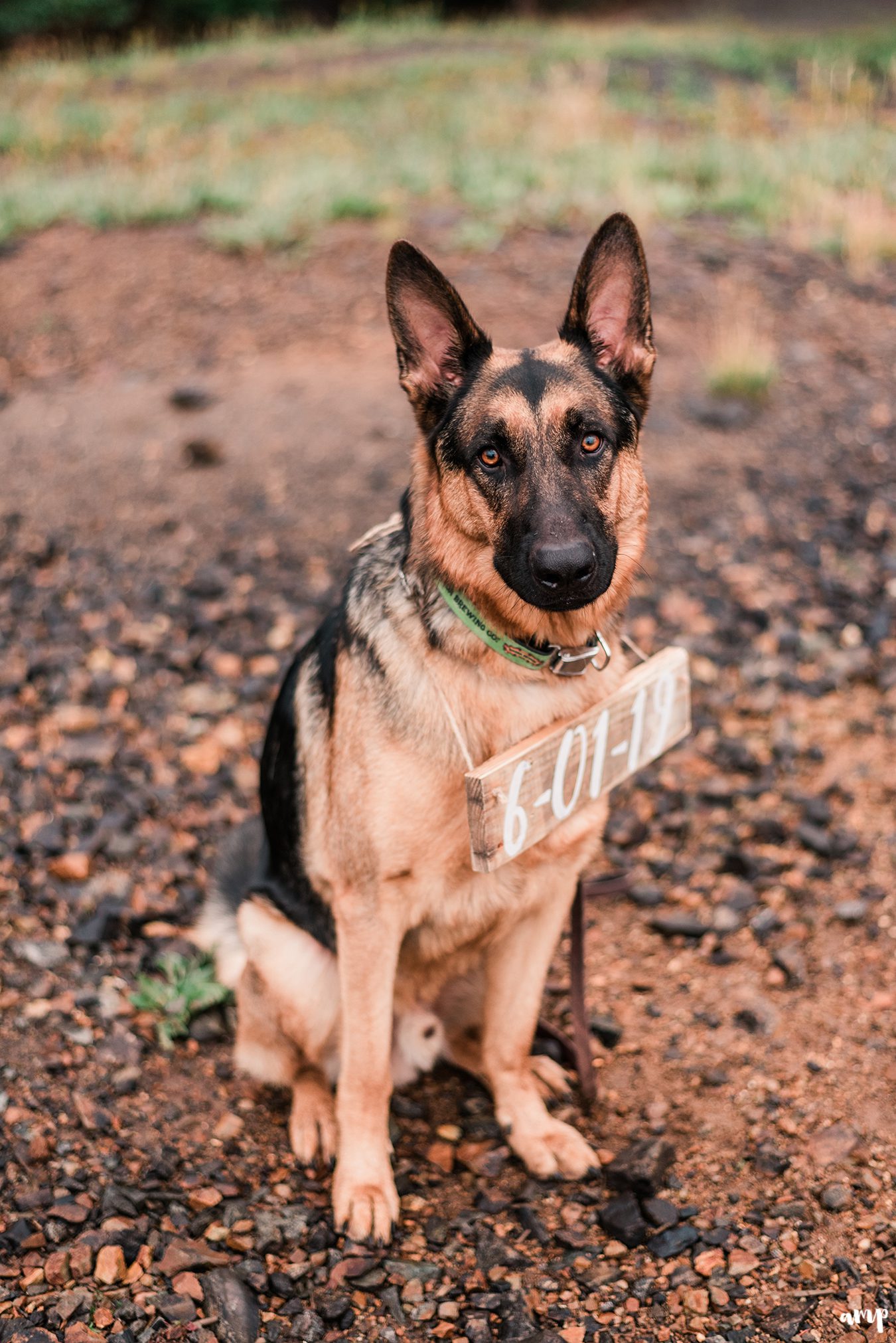 Dayton & Chelse's Telluride Engagement Session at Alta Lakes | amanda.matilda.photography