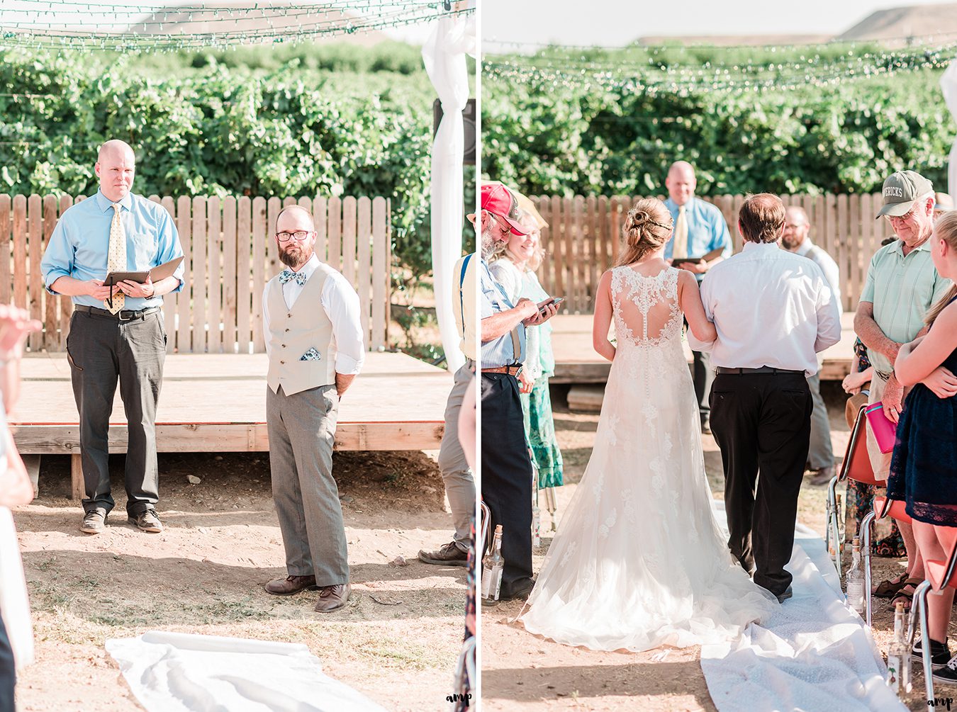 April & Bruce's Palisade Wedding in a Vineyard | amanda.matilda.photography