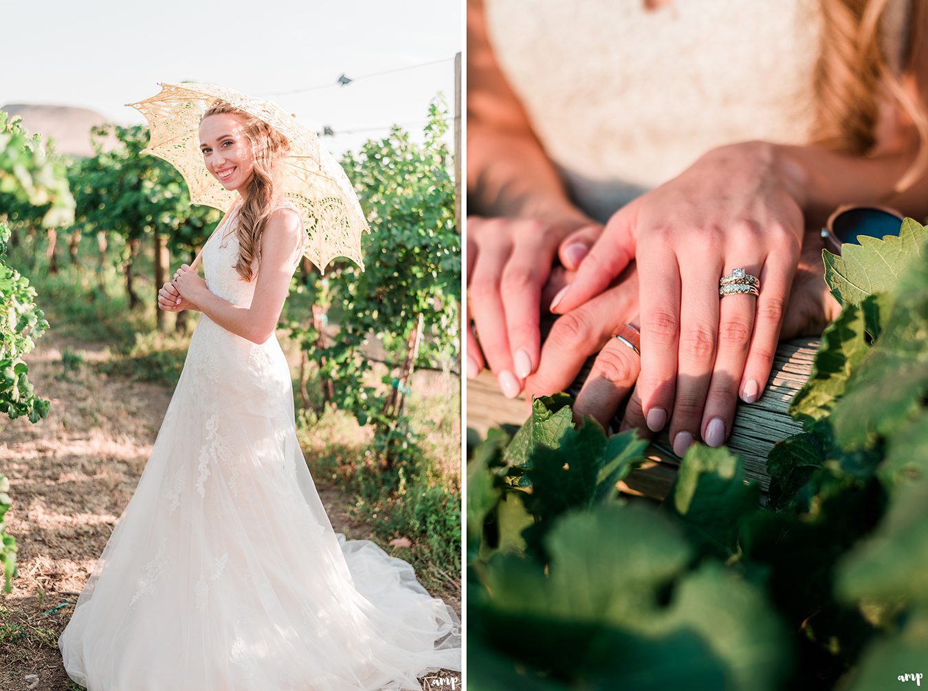 April & Bruce's Palisade Wedding in a Vineyard | amanda.matilda.photography