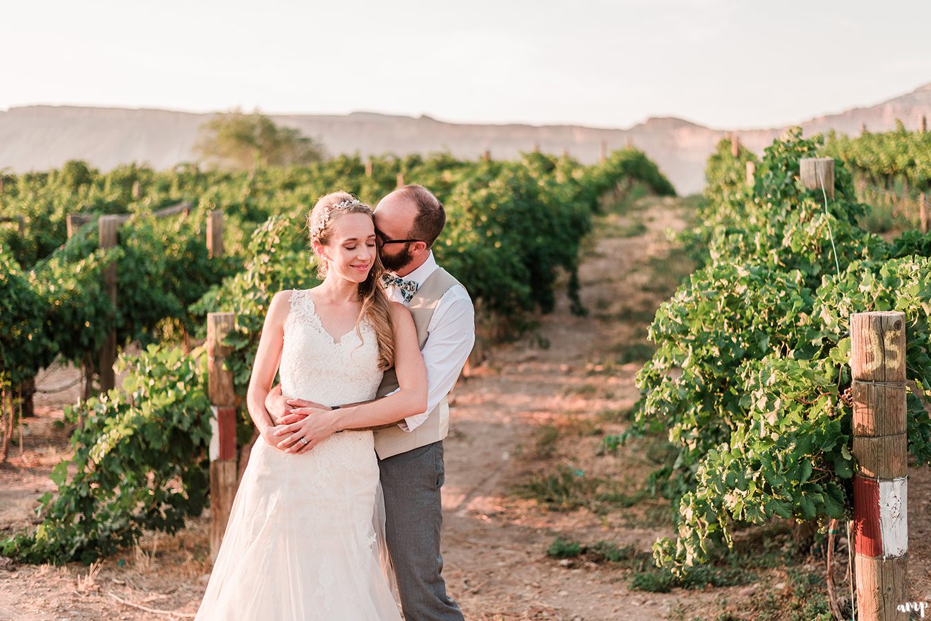 April & Bruce's Palisade Wedding in a Vineyard | amanda.matilda.photography