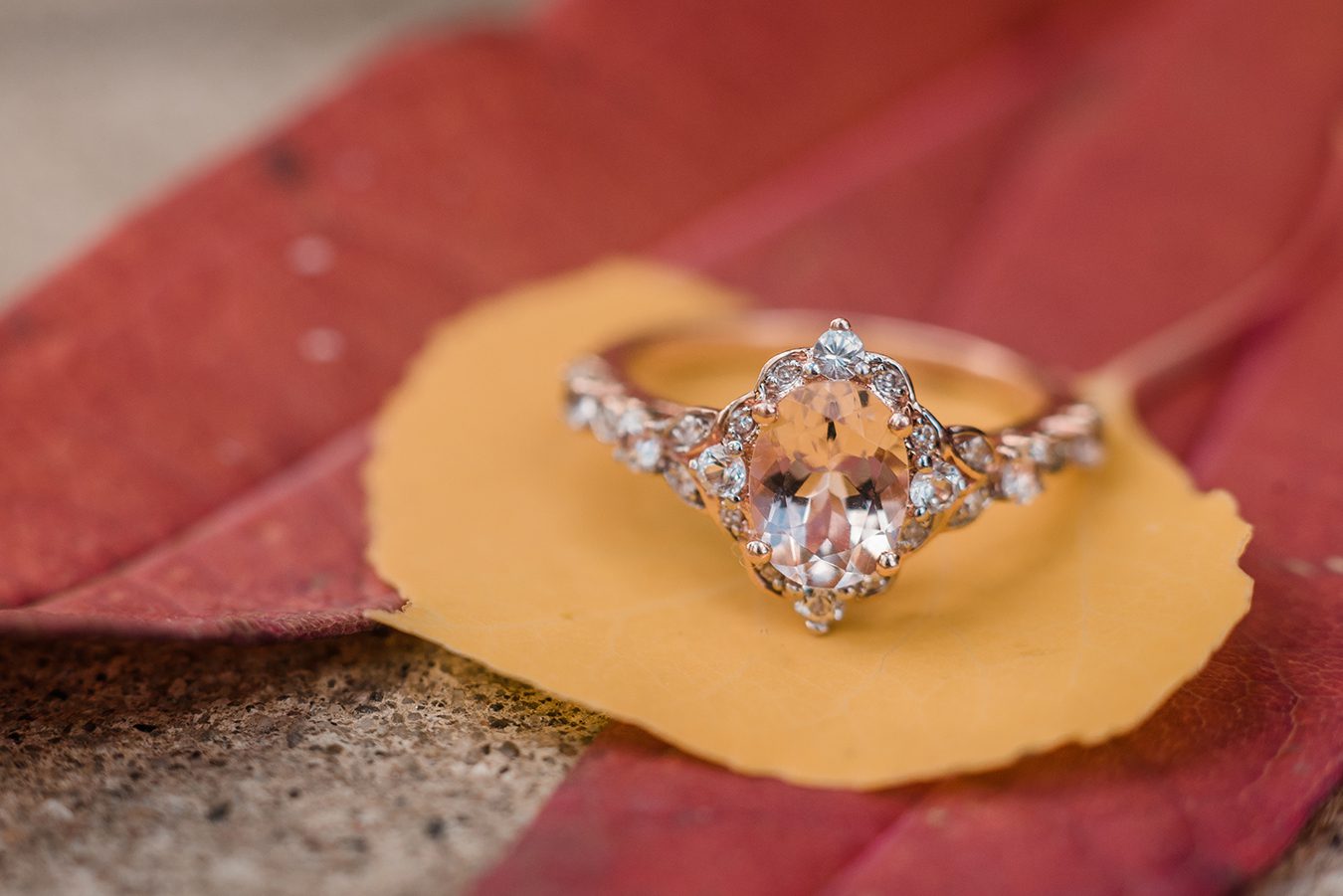 Joey & Morgan's Grand Mesa Fall Engagement | amanda.matilda.photography