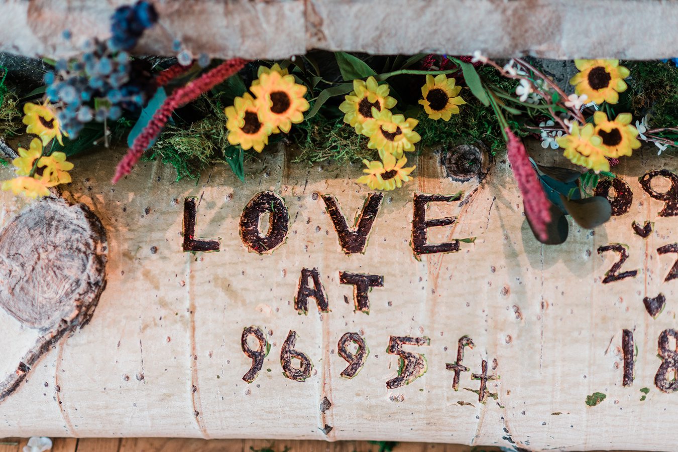 Kevin & Lynnette's Telluride Wedding at Mountain Village | amanda.matilda.photography