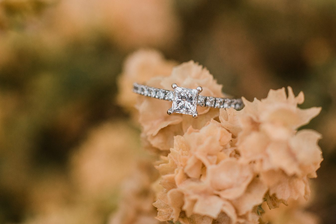 Brandon & Jennifer's fall engagement in downtown Grand Junction | amanda.matilda.photography