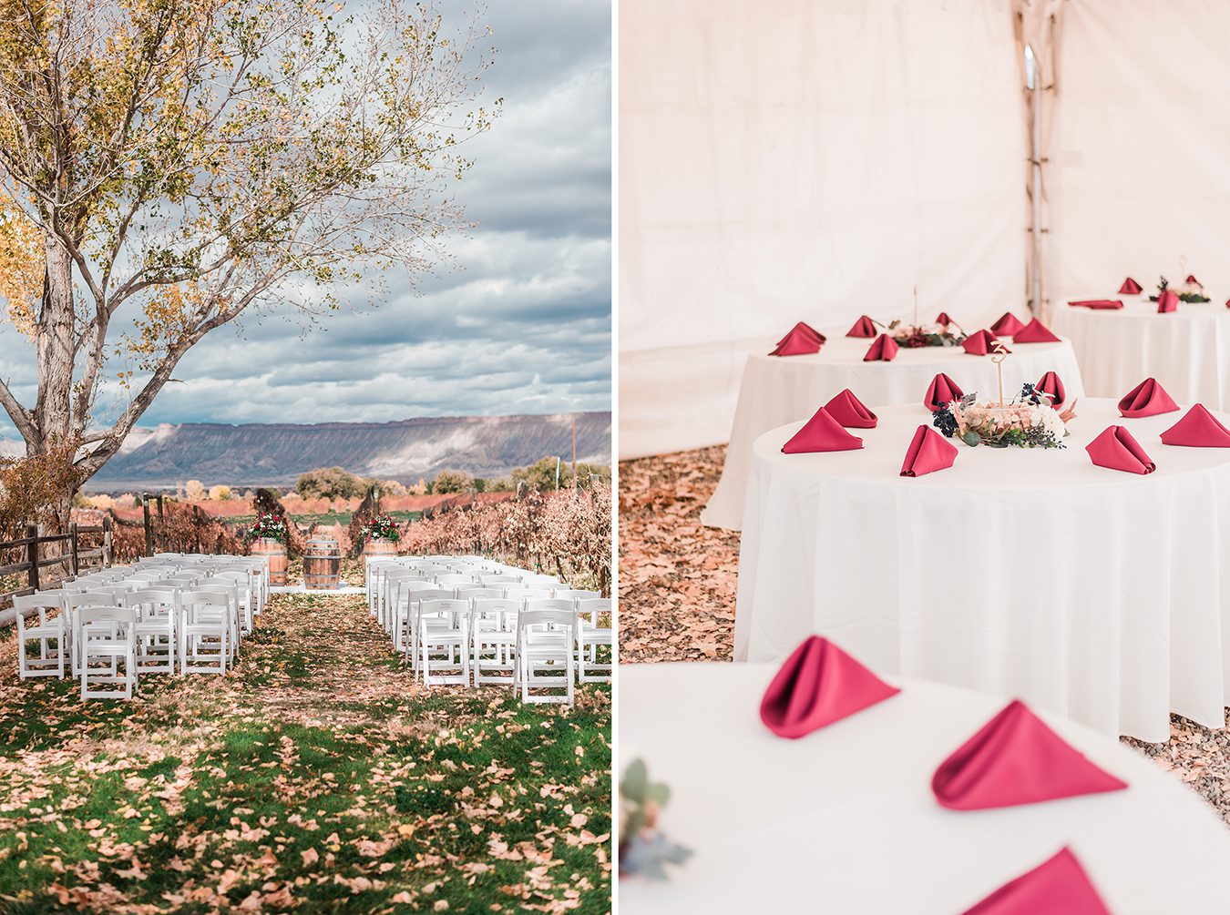 Josh & Michelle's Mesa Park Vineyards Wedding | amanda.matilda.photography 