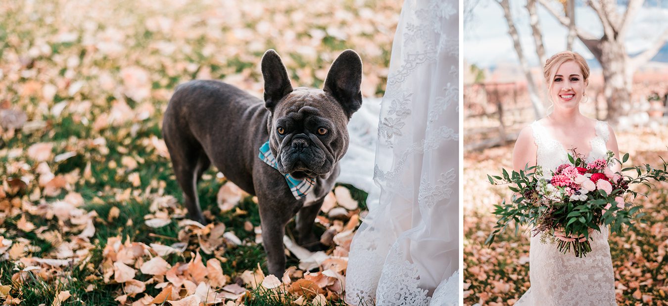 Josh & Michelle's Mesa Park Vineyards Wedding | amanda.matilda.photography