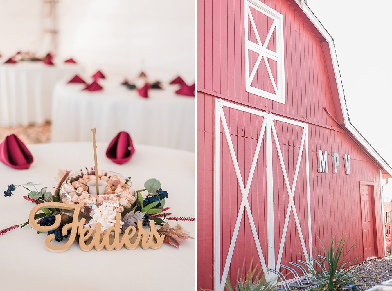 Josh & Michelle's Mesa Park Vineyards Wedding | amanda.matilda.photography