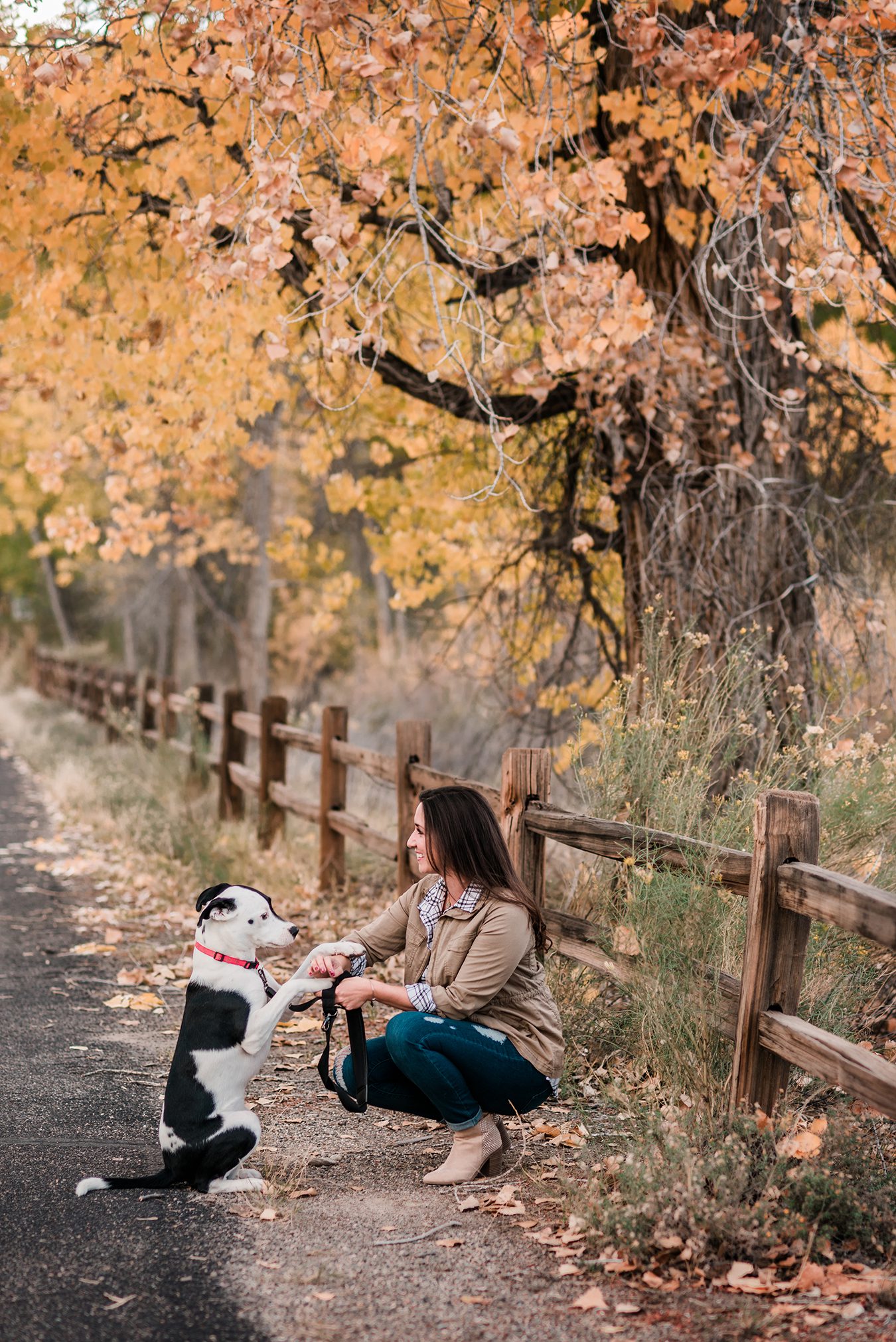 Morgan | Branding Photography in Grand Junction - Amanda Matilda Photography