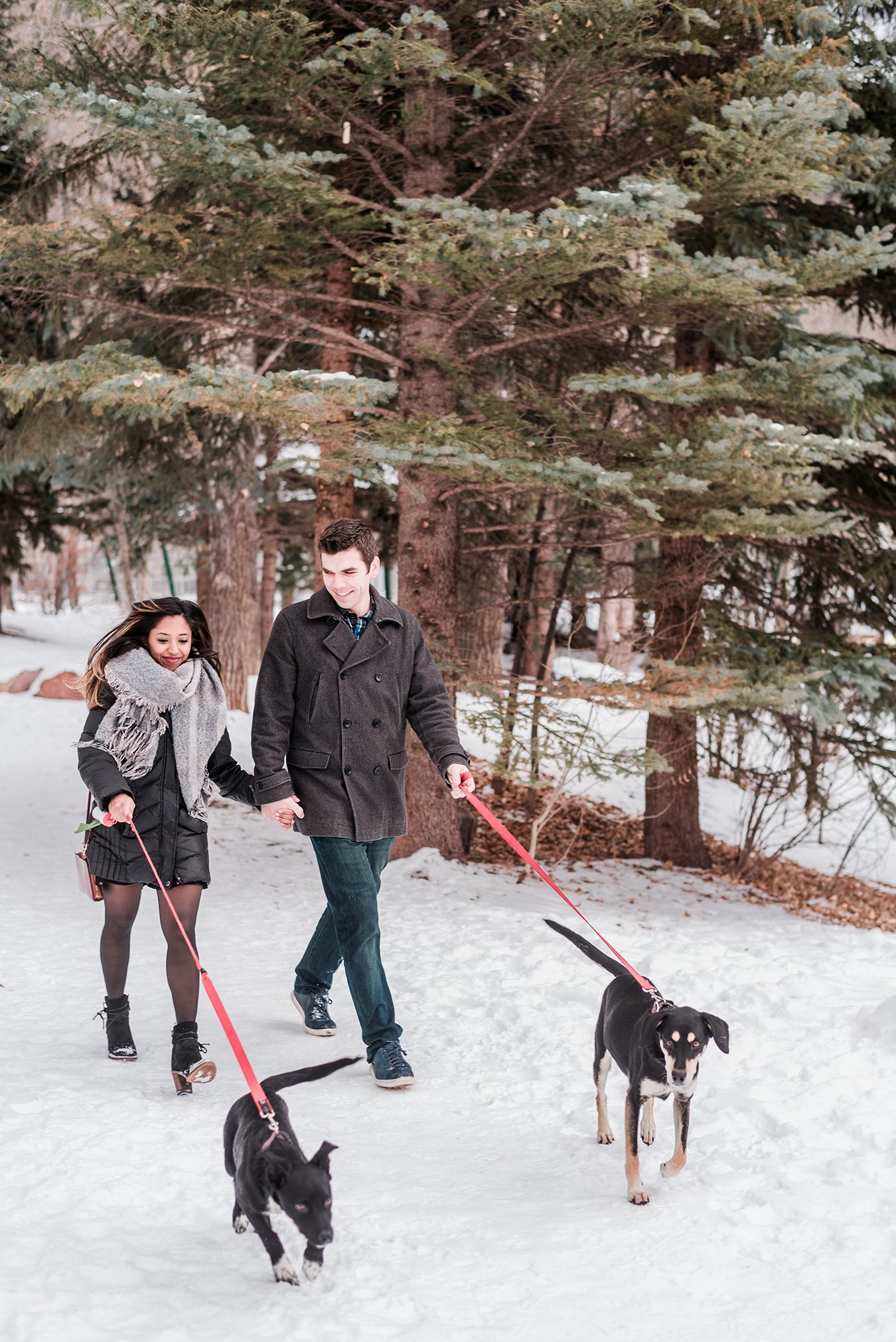 Bo & Shivani's Winter Engagement Photos in Telluride | Amanda Matilda Photography