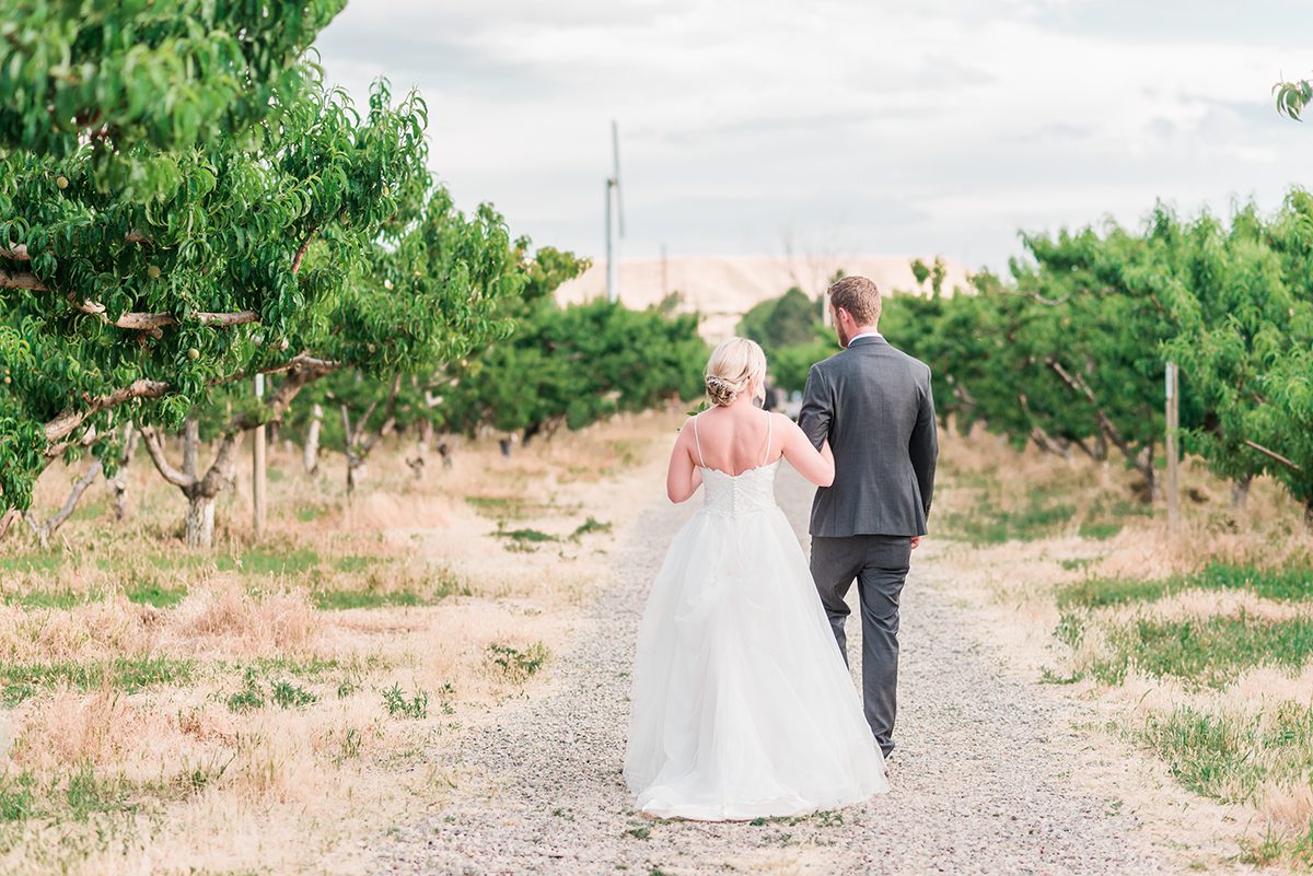 bride and groom walking through Colterris Winery