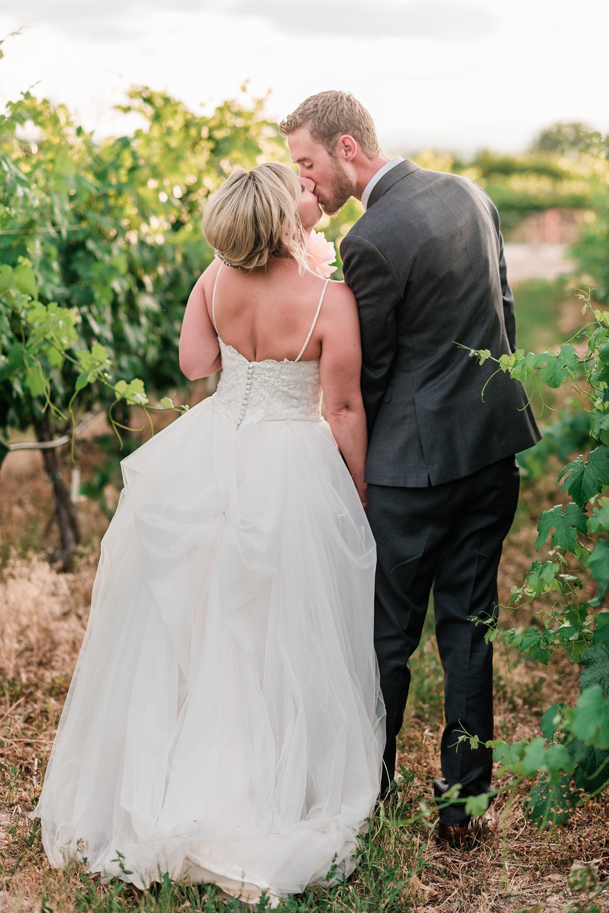 Bride and groom kissing in the vines at sunset