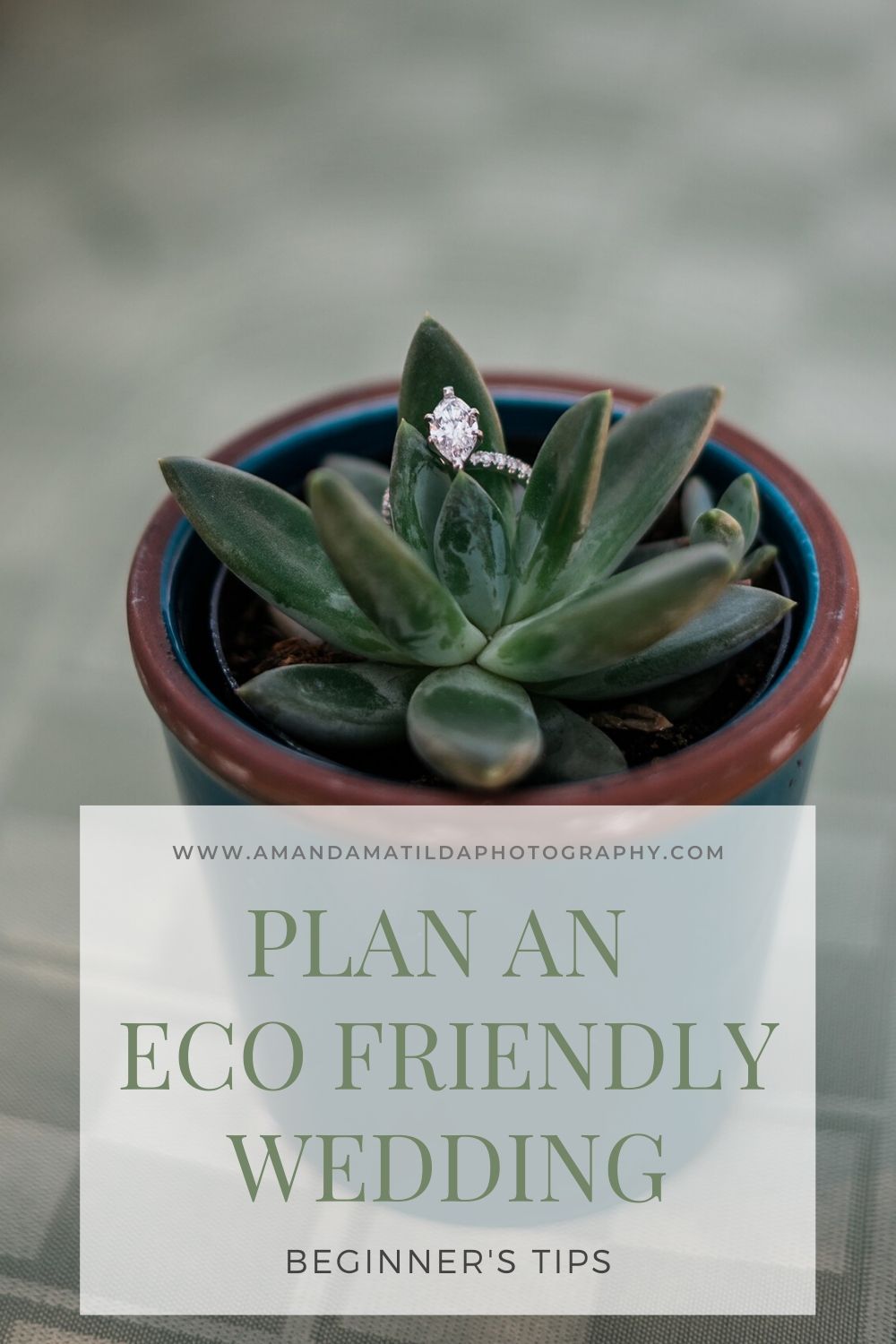 How to Plan an Eco Friendly Wedding | Amanda Matilda Photography