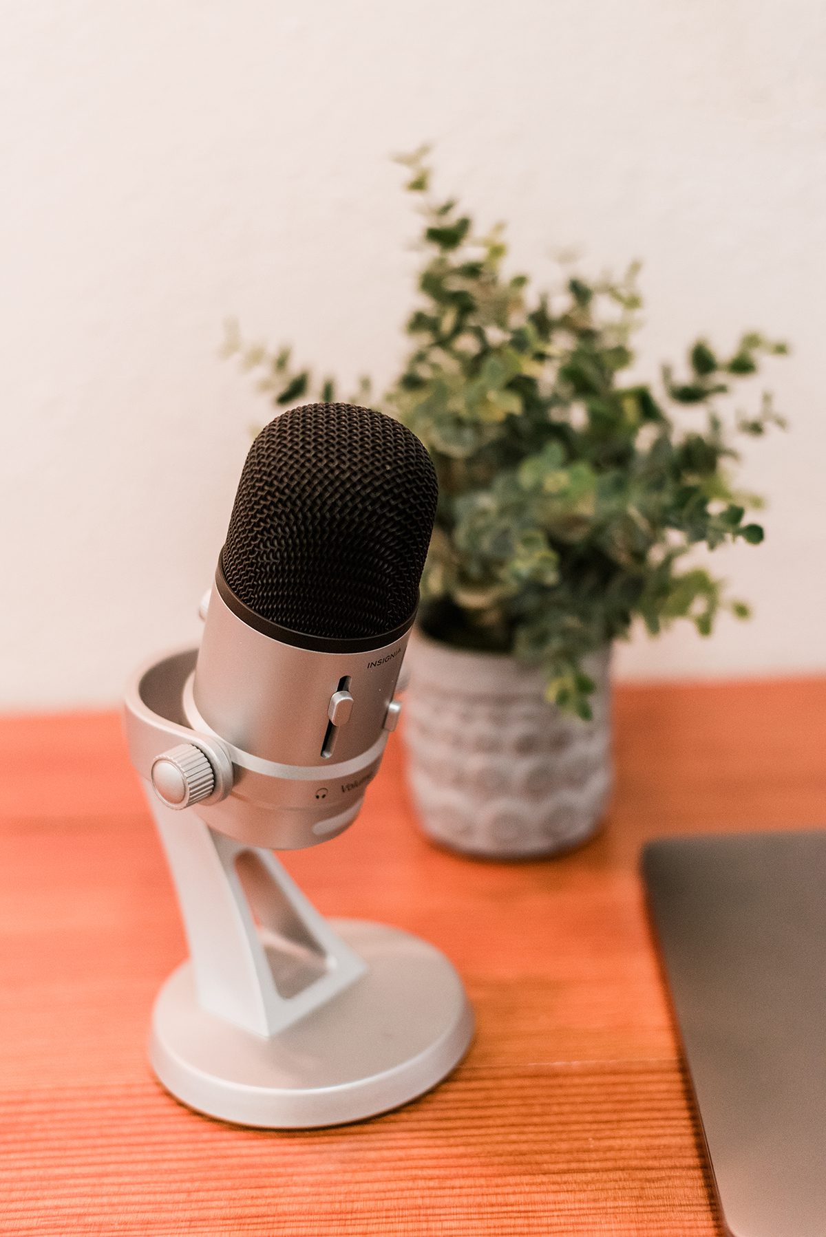 The Graceful Life Podcast | Business Branding Photos in Grand Junction