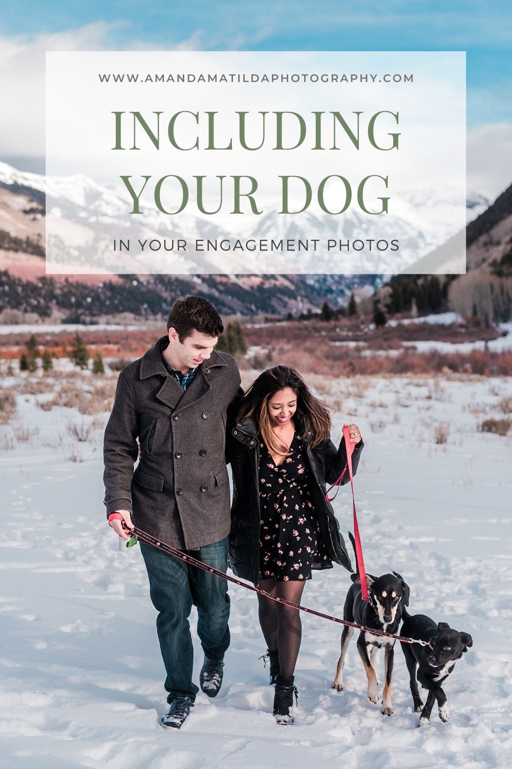 Including Your Dog in Your Engagement Photos | Amanda Matilda Photography