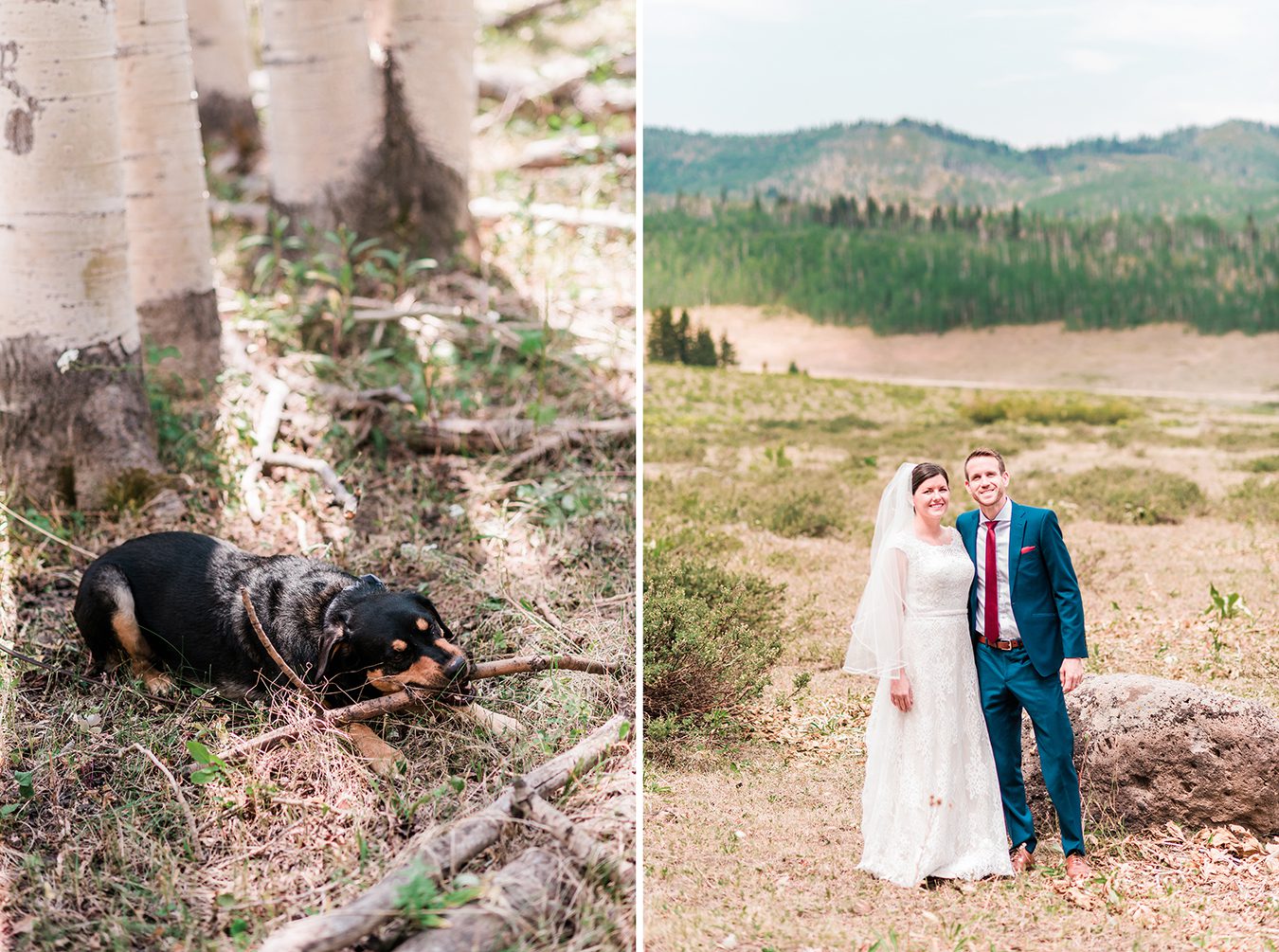 Andy & Nina | Elopement in Glenwood Springs