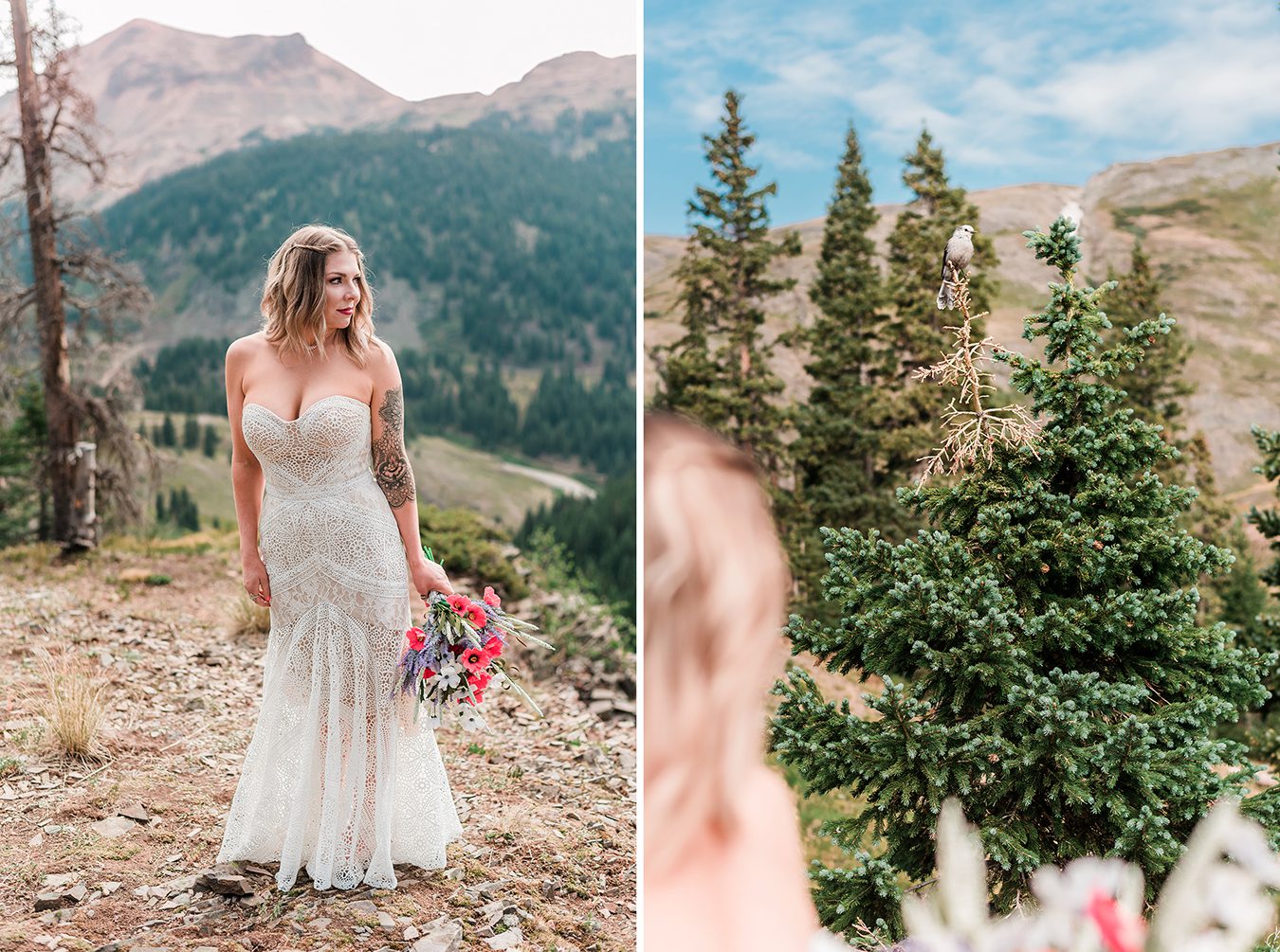 Clint & Laura | Red Mountain Elopement