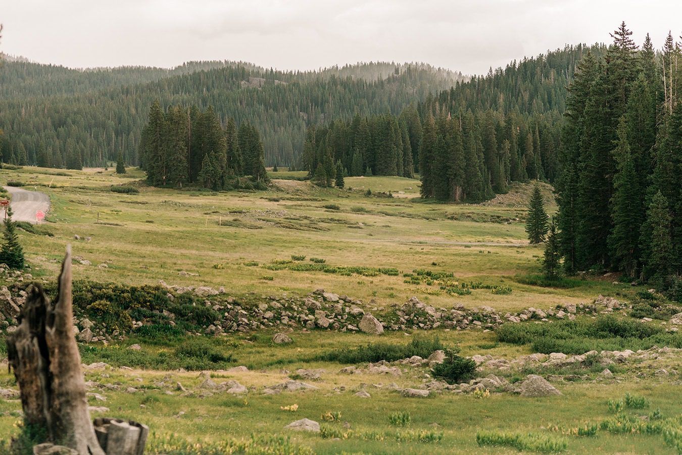 How to Elope on the Grand Mesa