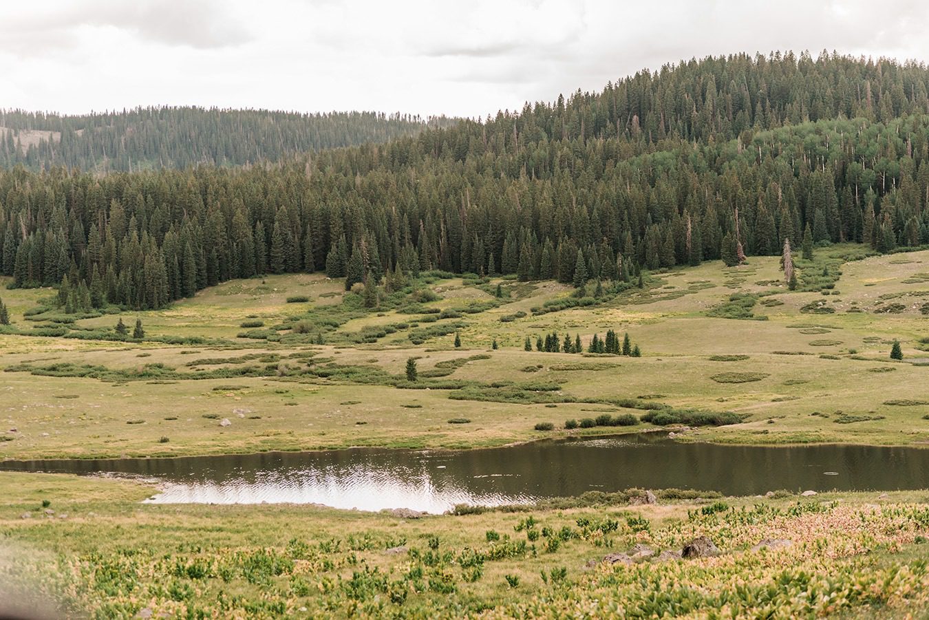 How to Elope on the Grand Mesa